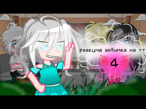 Видео: 🤍реакция зайчика на тт(4/?)🖤