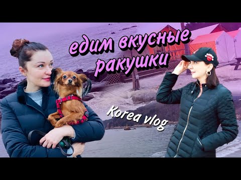 Видео: Пожарили ракушки у зимнего моря с подругой/겨울바다앞에서 조개구이먹기/KOREA VLOG