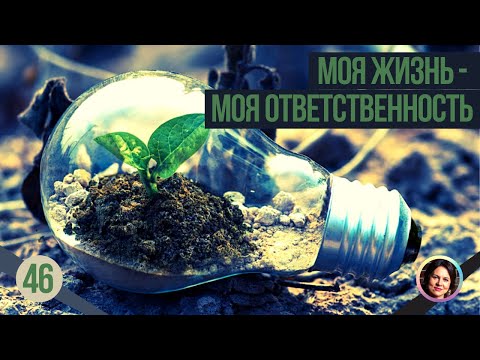 Видео: Моя жизнь, моя ответственность. Понятный психоанализ 18+