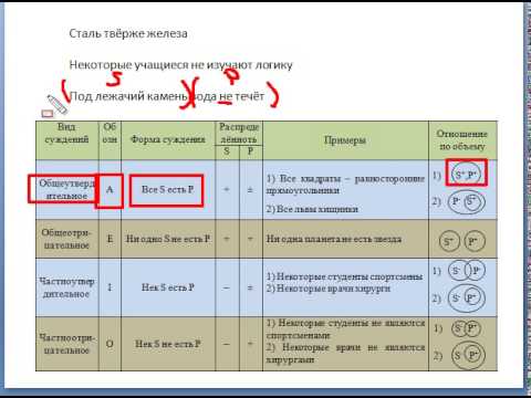 Видео: Практикум суждение