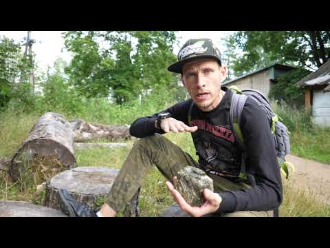 Видео: #Новгородские_Усадьбы, Окуловский район, Выпуск №5, Усадьба «Приволье»