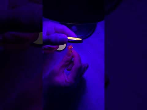 Видео: Специализированные светофильтры Tri-dent Arms. Проверка в УФ спектре.