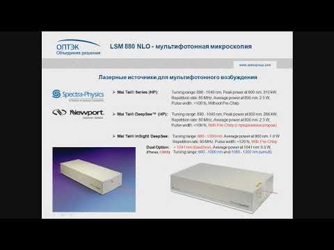 Видео: Вебинар «Мультифотонная микроскопия ZEISS в биоимиджинге», часть 3