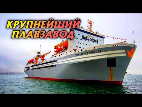 Видео: Крупнейшая в мире крабо-рыбоконсервная плавучая база