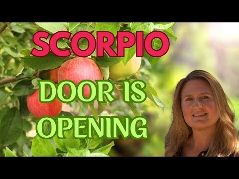 Видео: СКОРПИОН ♏️ УХ ТЫ, ВЫ НЕ ПОВЕРИТЕ, ЧТО БУДЕТ!