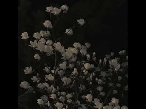Видео: Электрофорез – русская принцесса (slowed/reverb)