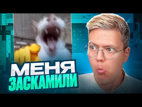 Видео: ПОДПИСЧИК ЗАСКАМИЛ МЕНЯ НА КЛЮЧ! разоблачение ВИРУСНЫХ ПРОГРАММЫ!