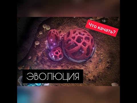 Видео: #1 ЭВОЛЮЦИЯ. Что качать в первую очередь. The Ants Underground Kingdom.