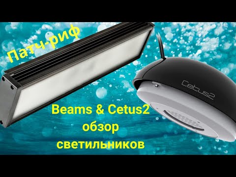 Видео: Патч-риф. BEAMS PRO R-4 против CETUS 2