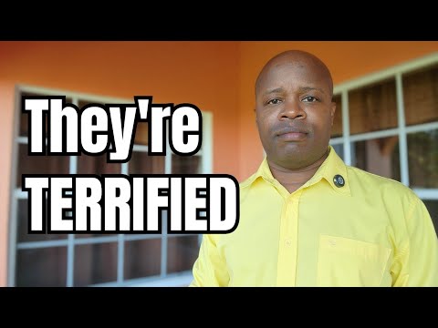 Видео: Что-то только что произошло — они напуганы и не знают, что делать