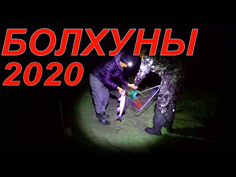 Видео: Болхуны 2020 /Рыбалка на Ахтубе / Река Герасимовка