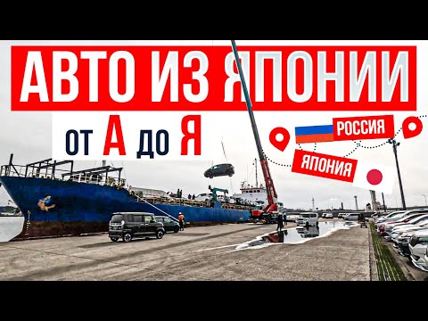 Видео: АВТО С АУКЦИОНОВ ЯПОНИИ! JAPAN AUTO!