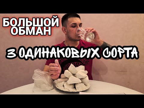 Видео: Барсук | Богородский | Анна