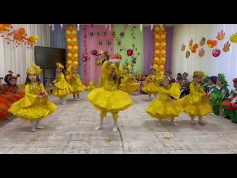 Видео: 22 октября 2025 г.