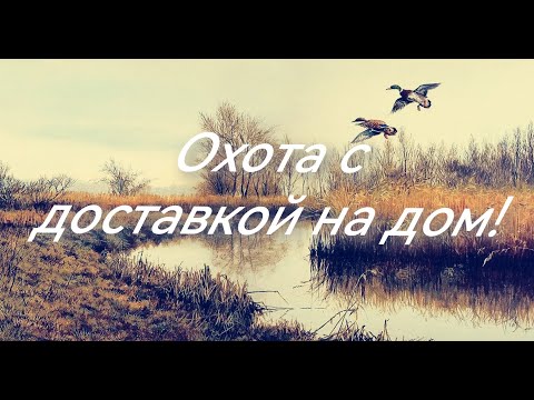 Видео: Электронное разрешение на охоту на водоплавующую дичь.