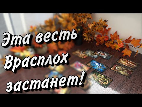 Видео: 🕊️Эта ВЕСТЬ застанет ВРАСПЛОХ😲🙀