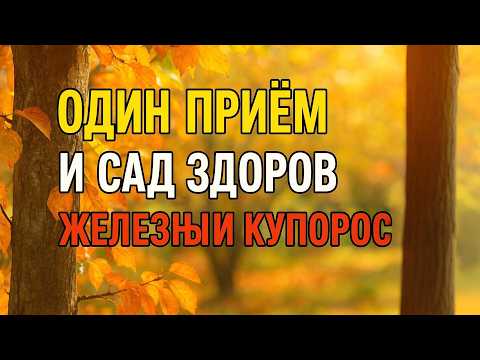 Видео: Железный Купорос 3%: Осенний Способ Спасти Сад Дешево