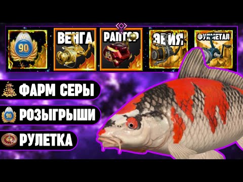 Видео: 🔴 СТРИМ РР4┃⭐ ПРОВЕРКА МЕДНОГО ПОСЛЕ НОЧНОЙ ОБНОВЫ┃🎁 РОЗЫГРЫШИ┃😱 РАПТОР и ВЕНГА в РУЛЕТКАХ┃maXS1k