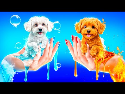 Видео: Строим секретные домики для животных! Огонь vs Вода