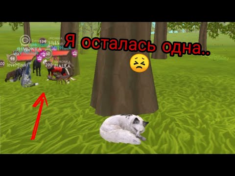 Видео: Меня все бросили. Я осталась одна.. 😣 [WildCraft]