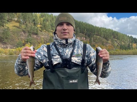 Видео: Осенняя рыбалка на хариуса. В тайгу, в первый день мобилизации. Водометы Tohatsu-50, sea pro-40.
