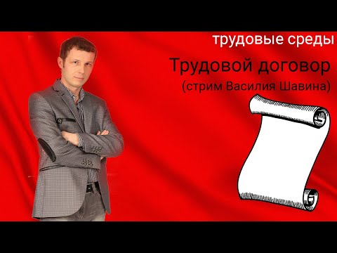 Видео: Трудовой договор (стрим Василия Шавина)