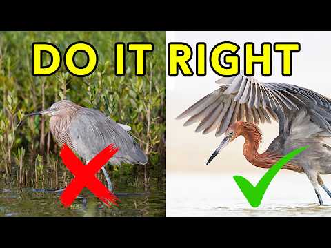 Видео: Перестаньте думать, что фотография — это просто фотосъёмка. Вместо этого сделайте вот что.