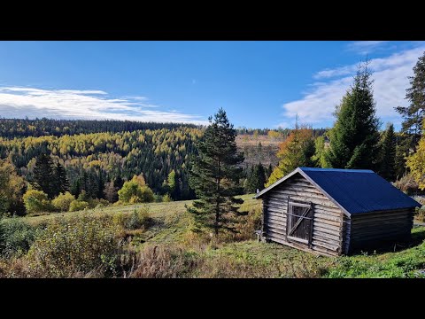 Видео: Есенен фест, нашият град Солефтео и вечерни разходки в сверна Швеция - Октомврийска есен