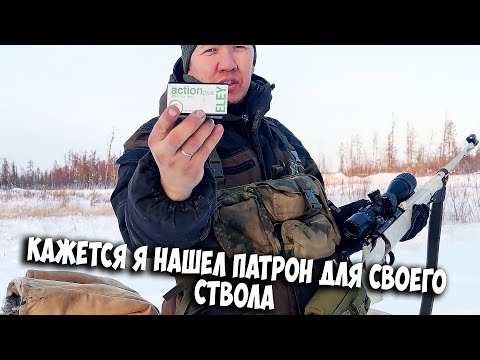 Видео: Нашел патроны которые полетели как надо на мелкашке