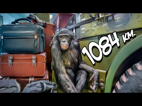 Видео: Сможем ли мы проехать 1084 км до Караганды за 2 дня на автодоме?