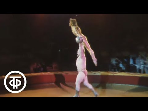 Видео: Еще одна улыбка (1987)