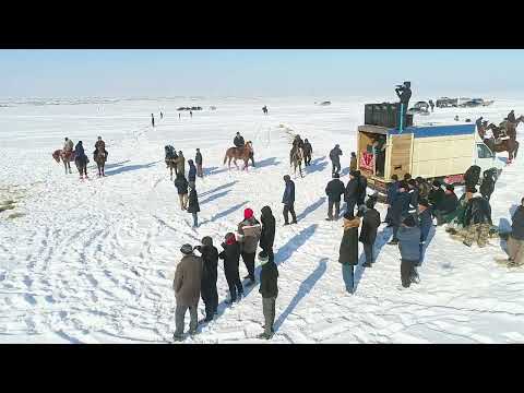 Видео: 11 01 2023 кокпар Бозай Адеевтер әулеті