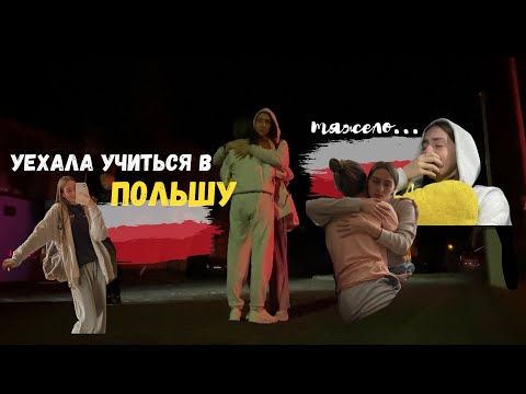 Видео: уехала учиться в Польшу