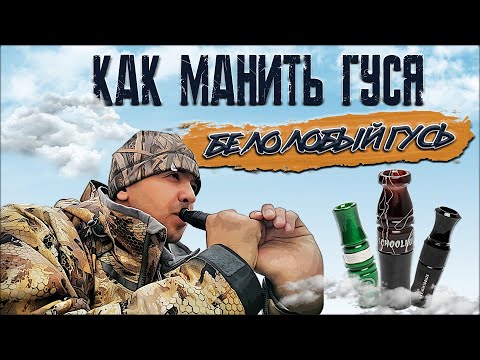 Видео: Как манить гуся | Духовой манок на белолобого гуся