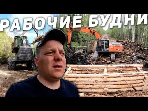 Видео: Как на Севере строим Мост через ручей | Вахта постройки мостов в лесу