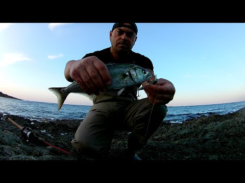 Видео: Риболов на лефер - 03.09.21