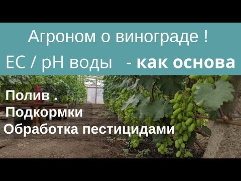 Видео: Агроном о винограде ! ЕС  pH воды   как основа