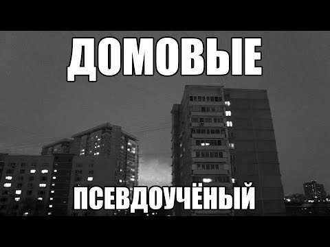 Видео: Страшные истории. ДОМОВЫЕ. Псевдоучёный. Часть 29.