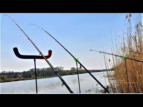 Видео: РЫБАЛКА на КАРАСЯ с НОЧЁВКОЙ
