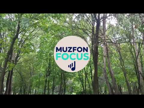Видео: Музыка для работы | Фоновая музыка без слов без мата @MUZFONFOCUS