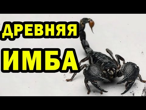 Видео: СКОРПИОНЫ В НЫНЕШНЕЙ МЕТЕ  | Земля - это игра