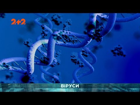 Видео: Вирусы – Затерянный мир. 67 выпуск