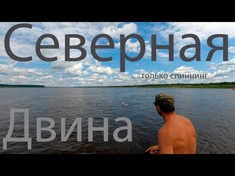 Видео: Голавль проснулся.