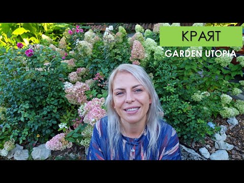 Видео: РАЗВОДЪТ