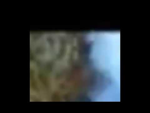 Видео: Все анимации логотипа Муз ТВ (почти)