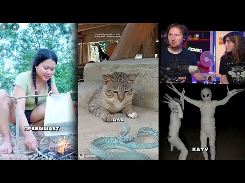 Видео: РЕАКЦИЯ на Тик Ток и Ютуб Шортс #36 Amitesh