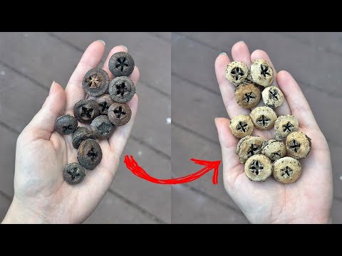 Видео: Меняю цвет эвкалипту / DIY Tsvoric