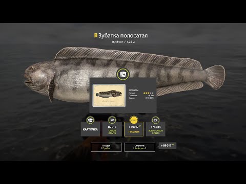 Видео: Норвежское море  Супер сборка!!! Все работает!!! ФАРМ!!!