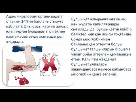 Видео: ІІ тоқсан, биология, 10 сынып, "Адам гемоглобині мен миоглобинінің құрылысы мен қызметі."