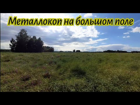 Видео: Прохожу небольшие околочки на большом поле